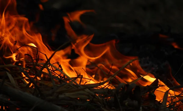 Fuego en pastizales cerca de la Avenida del Poeta genera alarma en La Paz