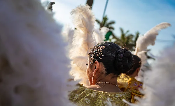Controles más estrictos en la Fiesta del Gran Poder para proteger la fauna silvestre