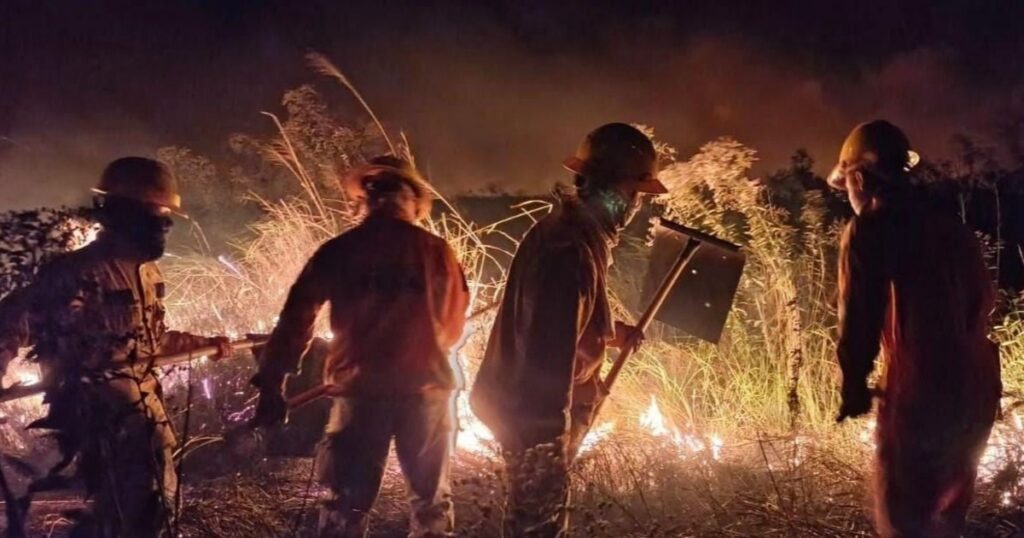 Presidente Paz demanda investigación sobre incendios forestales en Bolivia