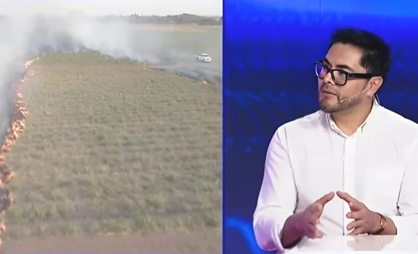 Demandan la derogación de leyes que favorecen incendios forestales en Bolivia