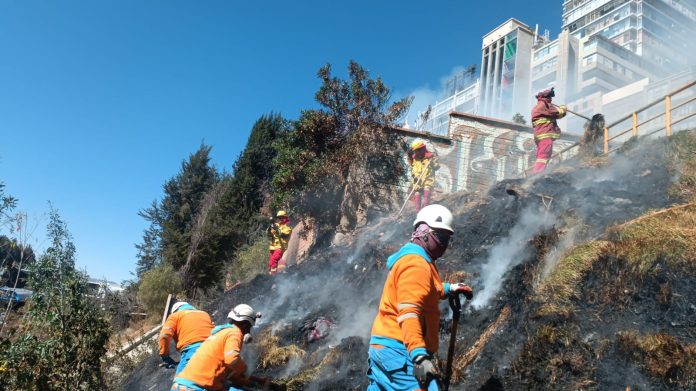 Incendio forestal en La Paz es controlado sin daños significativos