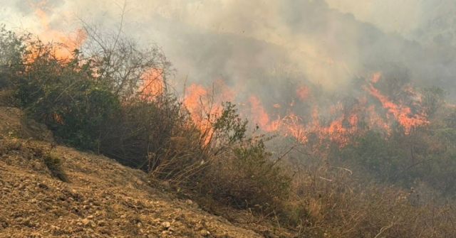 Gobierno planea arrendar aeronaves para combatir incendios forestales en Bolivia