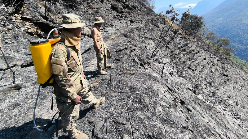 Incendio en Yanacachi controlado tras afectar 600 hectáreas en los Yungas paceños