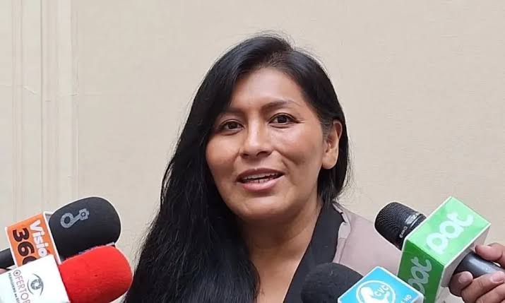 Soledad Chapetón urge la pronta aprobación de la Ley de Inversiones para impulsar la economía