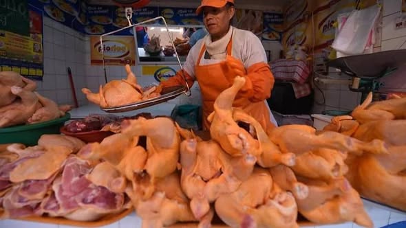 El precio del pollo se eleva a Bs 29,50 en La Paz