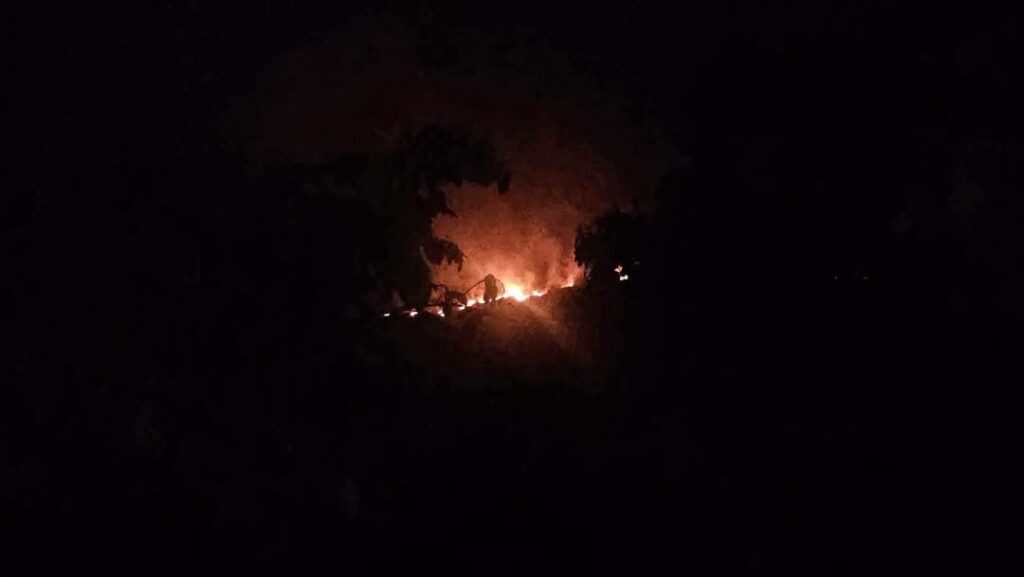 Yanacachi enfrenta emergencia por intenso incendio forestal