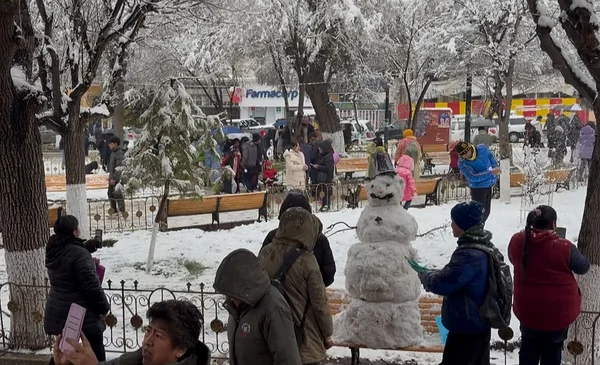 La ciudad de Oruro se llena de magia blanca con una nevada histórica