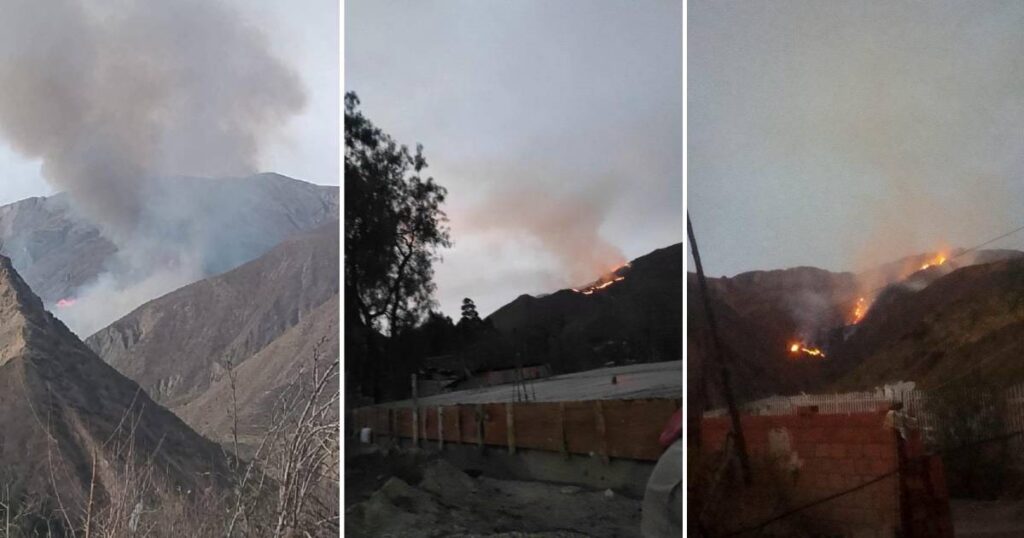 Incendio forestal en Sapahaqui genera alarma entre vecinos que piden ayuda
