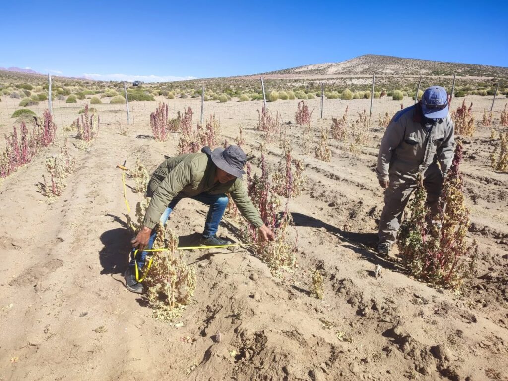 Más de 56.000 pequeños productores enfrentan daños por fenómenos climáticos