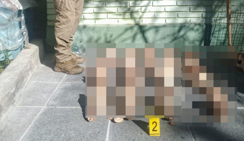 La Policía investiga la aparición de 25 cráneos de perros en un basurero de Villa San Antonio