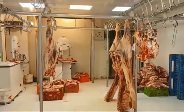 El Alto experimenta reducción en el precio de la carne de res en gancho