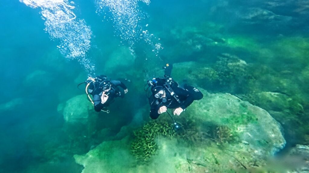 Descubriendo el Submundo del Titicaca a Través del Buceo