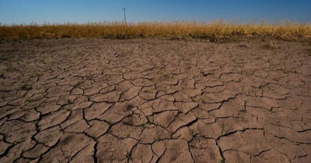 Ecuador activa alerta roja ante el fenómeno de El Niño