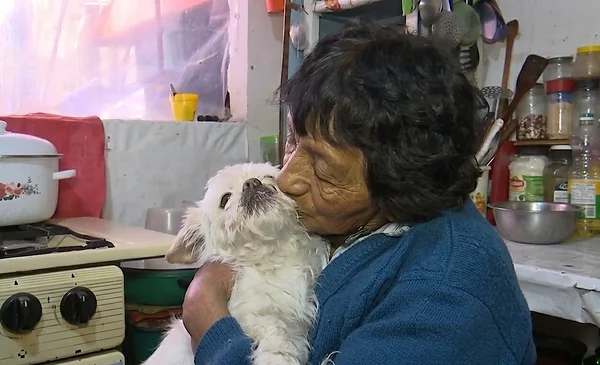 María Luisa y su perrita Pelusa: una historia que conmueve a La Paz