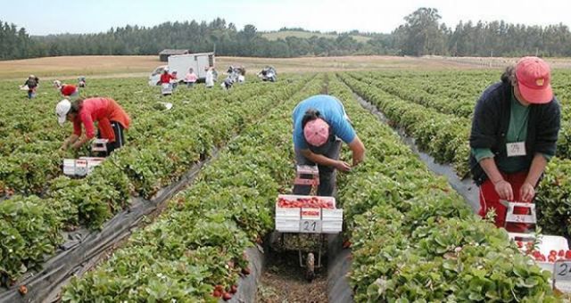 El éxodo de jóvenes bolivianos hacia Chile en busca de oportunidades
