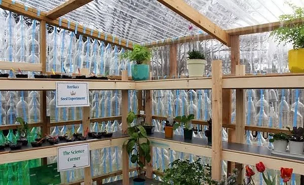 Estudiantes australianos crean un invernadero escolar con más de 2.000 botellas recicladas