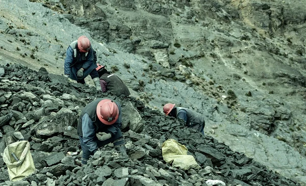 Atracan a pareja de mineros en El Alto: roban Bs 180 mil y su vehículo