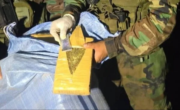 Descubren 240 paquetes de marihuana en operativo en Sud Yungas