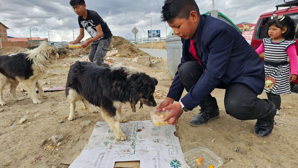 Niños de Los Trovadorcitos alimentan a perros callejeros en El Alto