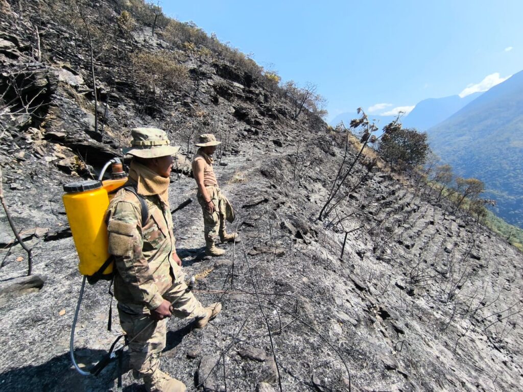 Controlan incendio forestal en Tahuacusi, Yanacachi