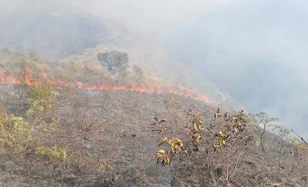 Yanacachi en alerta máxima por incendio forestal devastador