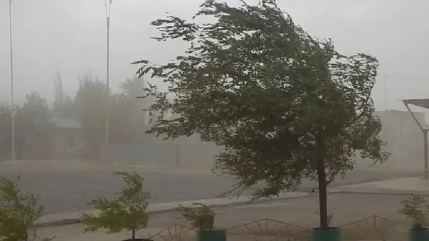 Alerta Naranja por Fuertes Vientos en Cuatro Departamentos