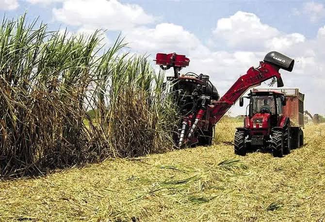Gobierno exime de aranceles e IVA a maquinaria de sectores clave