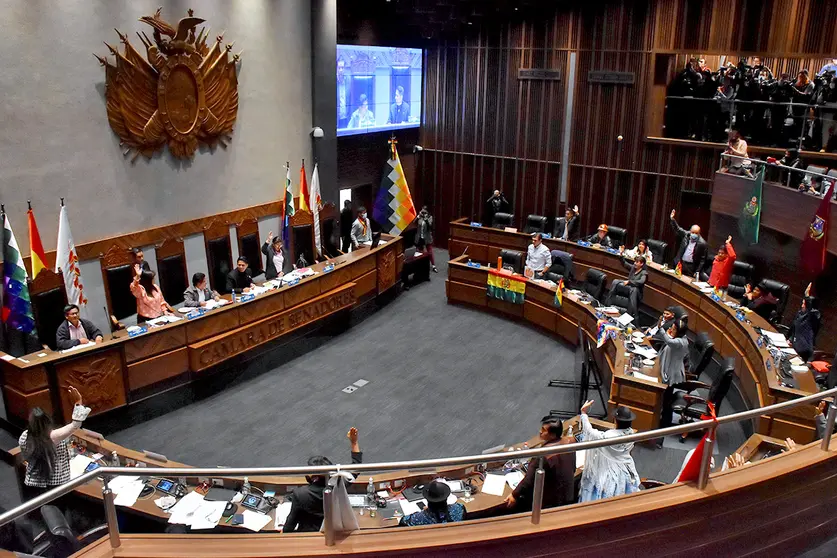 El Senado Abordará el Crédito del FMI Este Viernes