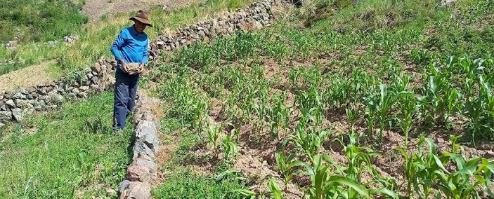 Día Mundial de la Agricultura: Desafíos del Campo Boliviano ante la Escasez de Diésel y el Cambio Climático