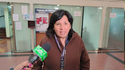 Claudia Bilbao critica robos en la gestión del MAS