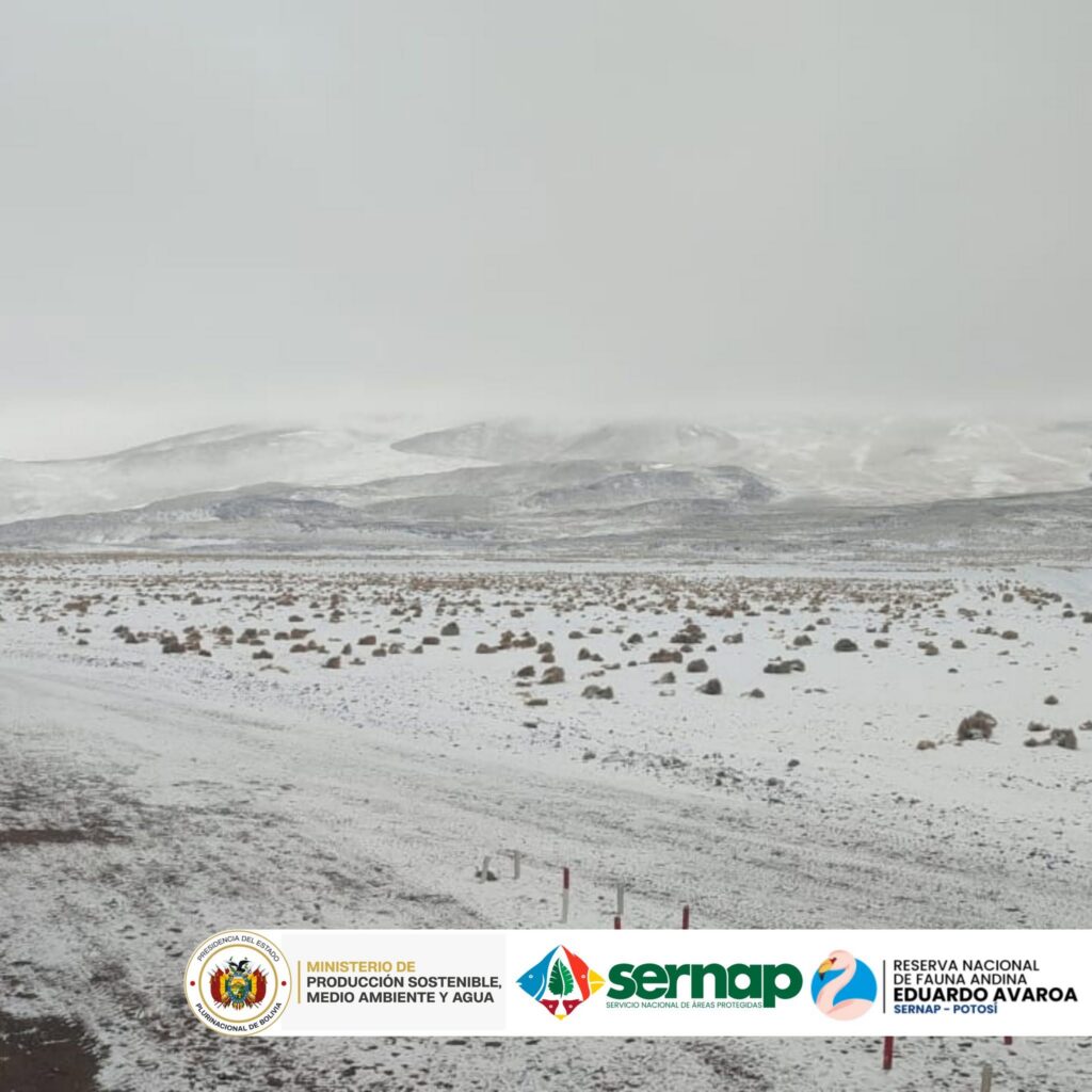 Evacuación preventiva y suspensión de ingresos en la Reserva Eduardo Avaroa debido a nevadas