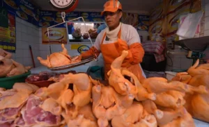 Caída en el precio del pollo en los mercados de La Paz