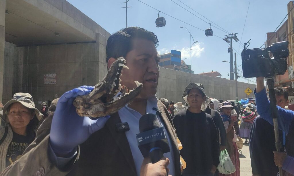 Intervención en feria de Río Seco revela posible venta de carne de zorro