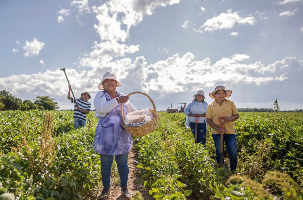 Nuevos créditos con tasas accesibles para fortalecer la producción en Bolivia