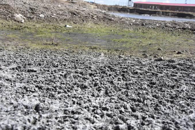 Impacto de El Niño: Proyecciones anticipan 451.000 muertes adicionales por calor