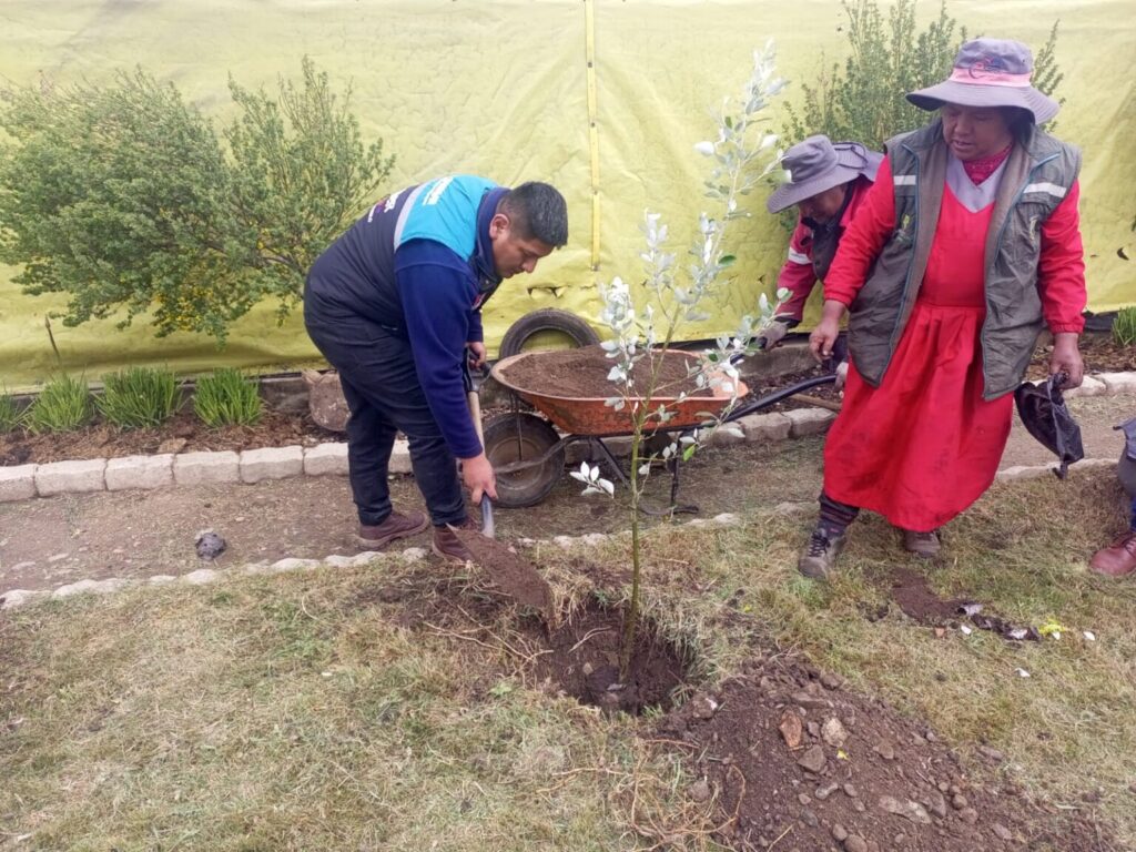 Lanza El Alto la campaña de forestación “Venas Verdes”