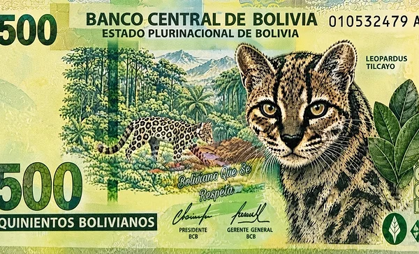 Propuesta de billete boliviano rinde homenaje al tilcayo