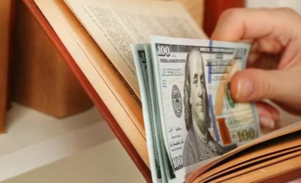 Desgracia tras años de ahorro: descubren que las polillas arruinaron su dinero