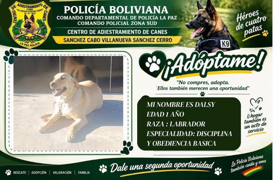 La Policía de La Paz ofrece siete perros entrenados para adopción