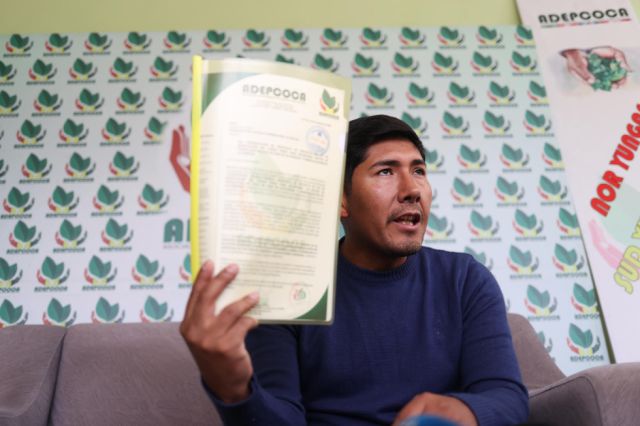 Cocaleros paceños proponen penas de cárcel por cultivos ilegales de coca