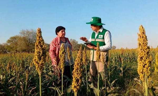 Censo Agropecuario 2026: Un esfuerzo nacional para modernizar el campo boliviano
