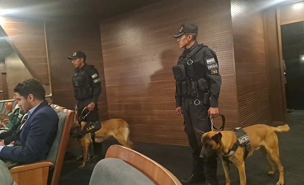 Canes de la Policía destacan en sesión de la ALP