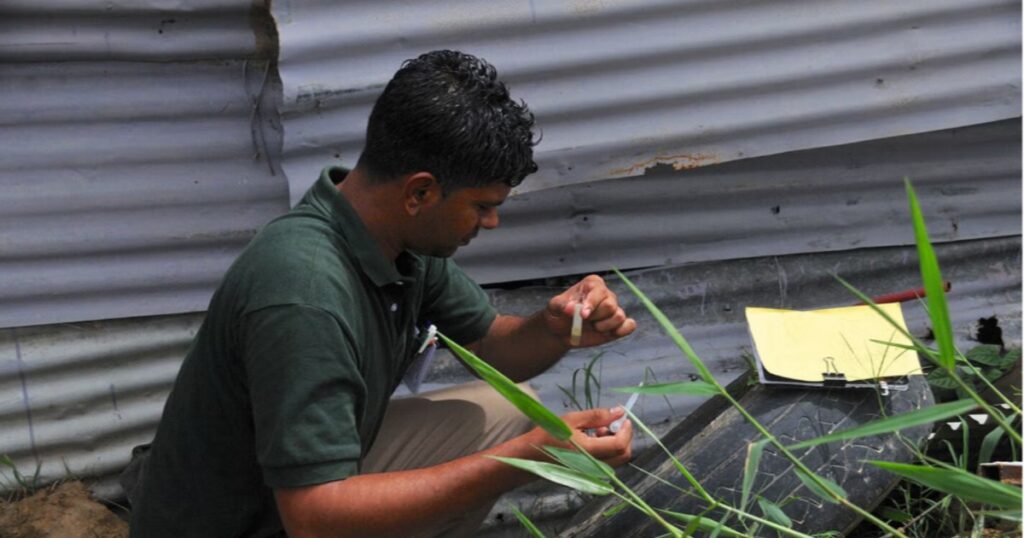 Nueva estrategia regional contra el dengue en las Américas