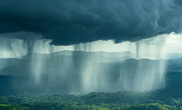 Asombroso video revela el interior de una nube de lluvia