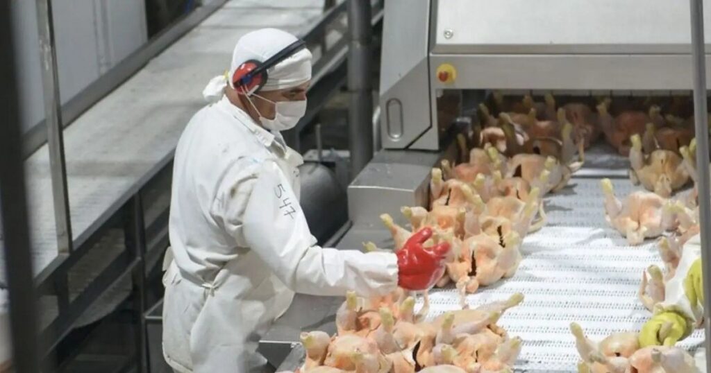 El pollo supera al beef: un cambio en la dieta argentina